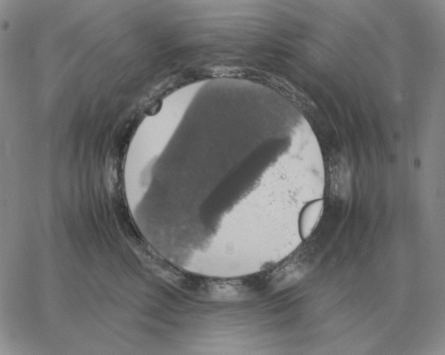 X0000064770618200603131435