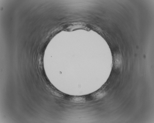 X0000064770619200603131435