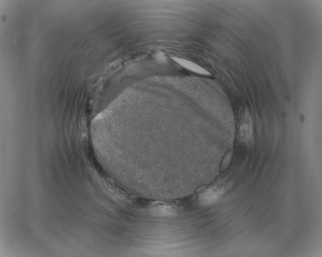 X0000064770620200603131435