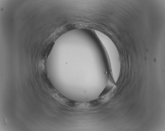 X0000064770621200603131435