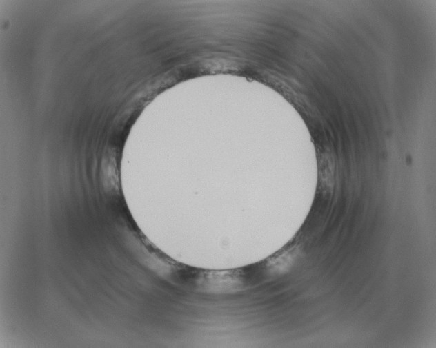 X0000064770622200603131435