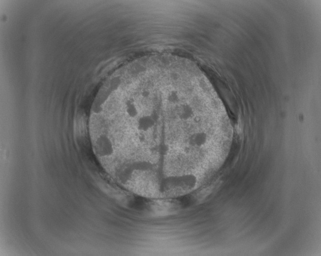 X0000064770623200603131435