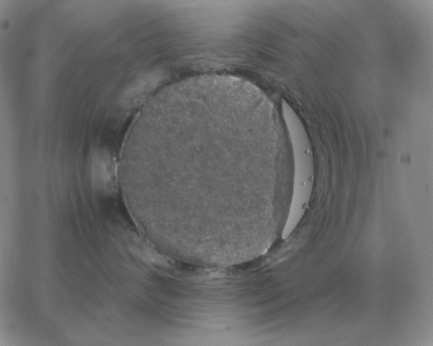 X0000064770624200603131435