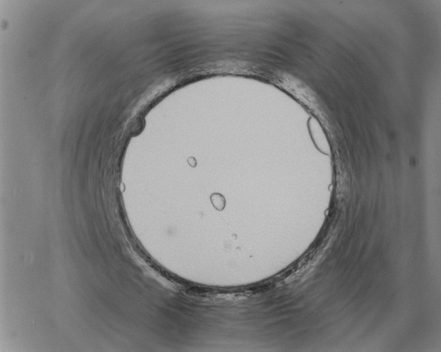 X0000064770625200603131434