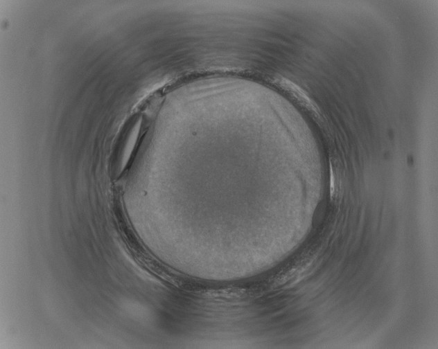 X0000064770627200603131434