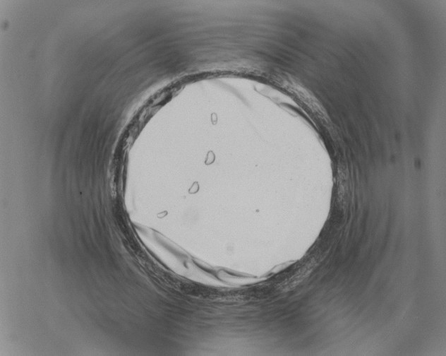 X0000064770628200603131434