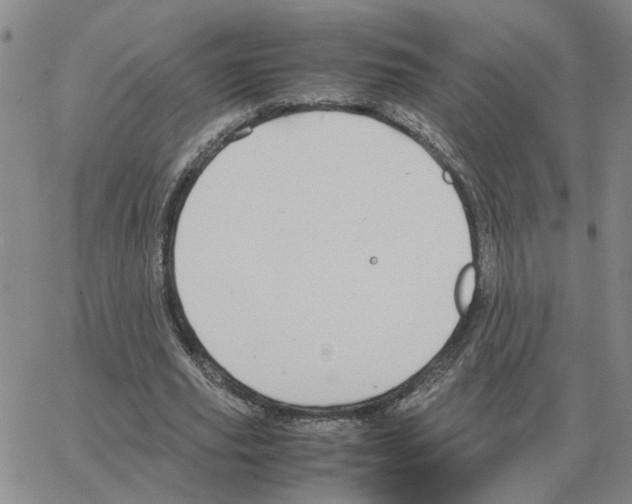 X0000064770629200603131434