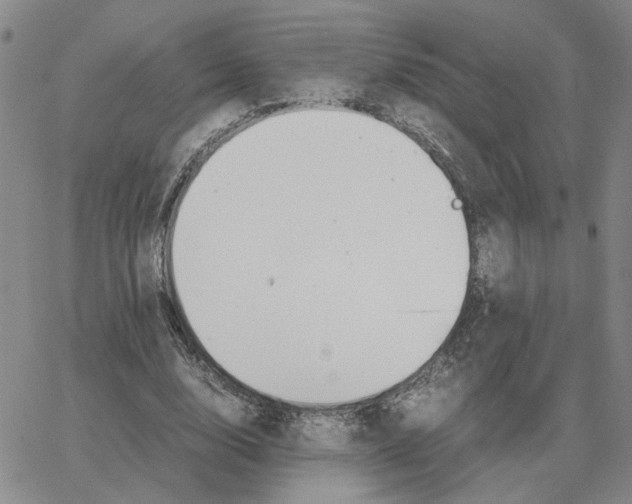 X0000064770632200603131434