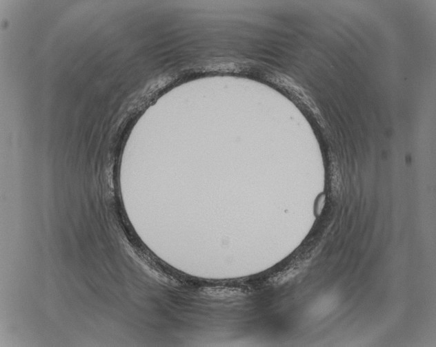 X0000064770633200603131434