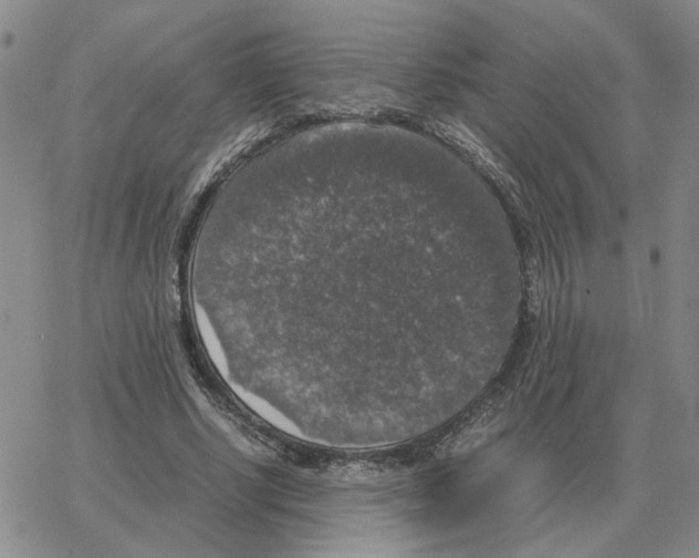 X0000064770634200603131434