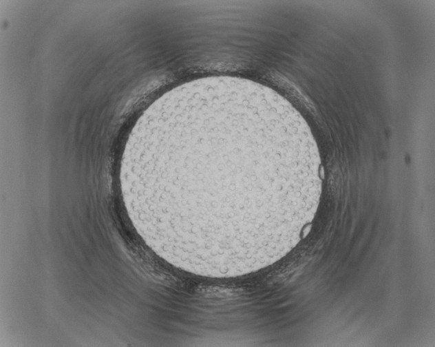 X0000064770635200603131435