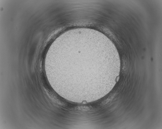 X0000064770636200603131435