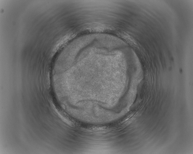 X0000064770638200603131435