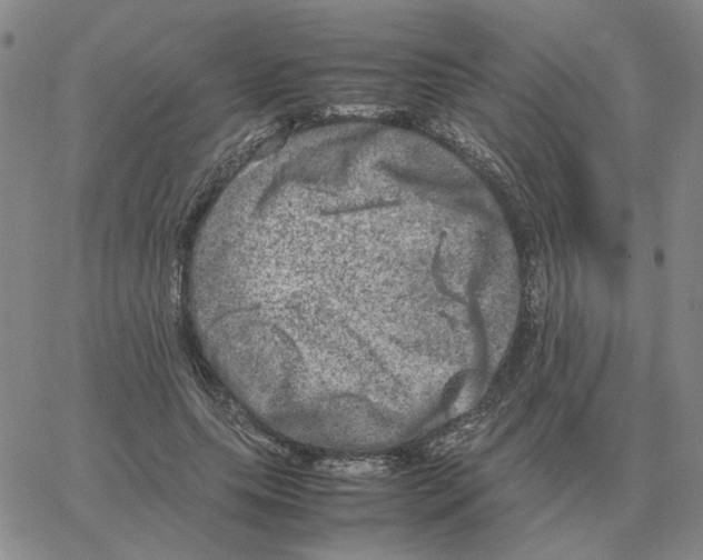 X0000064770639200603131435