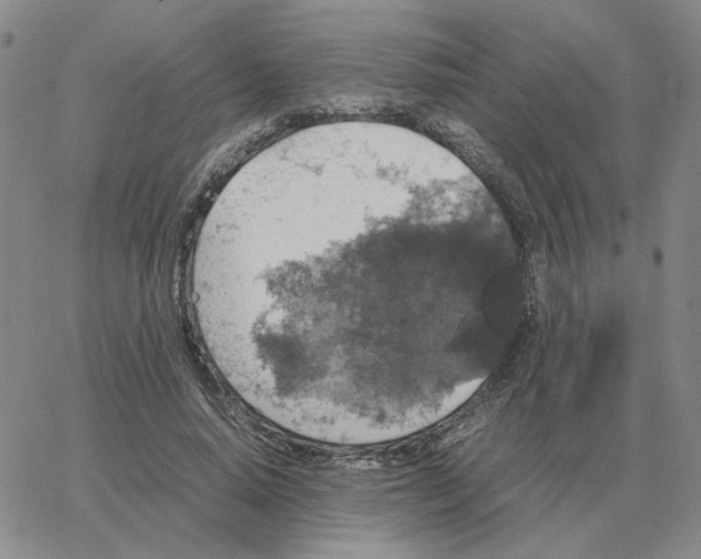 X0000064770640200603131435