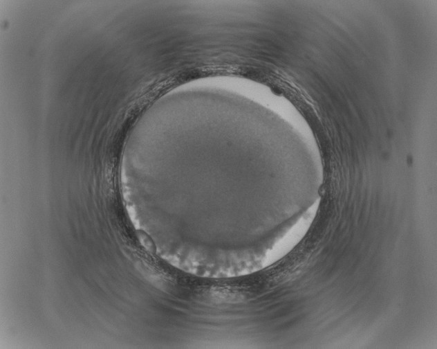 X0000064770641200603131435