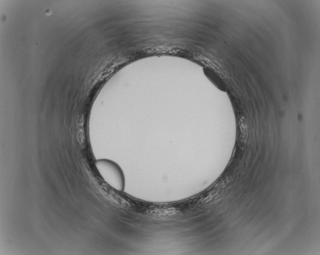 X0000064770642200603131435