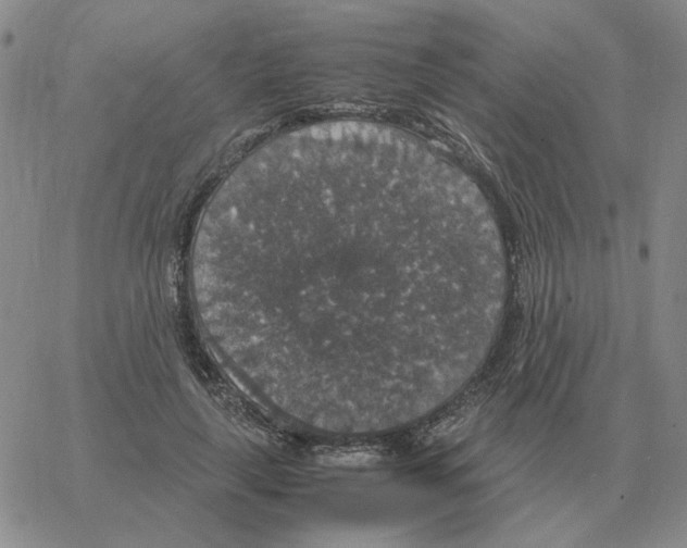 X0000064770643200603131435