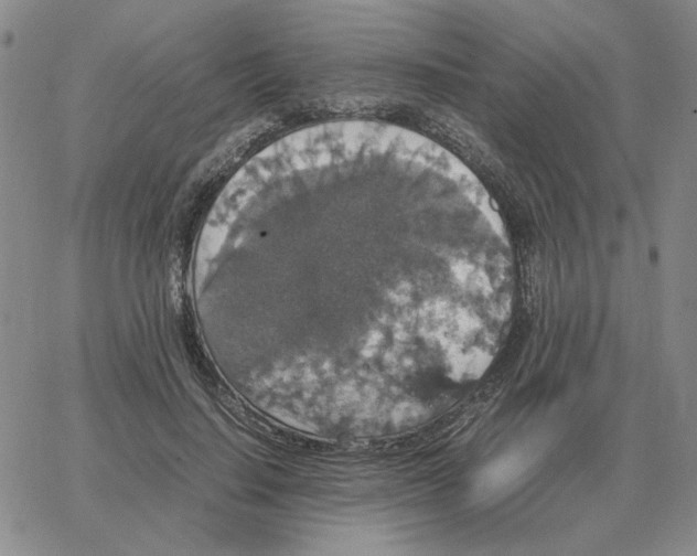 X0000064770644200603131435