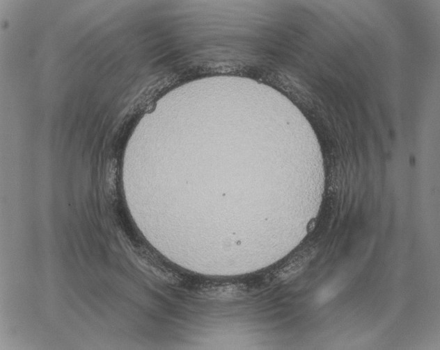 X0000064770646200603131435