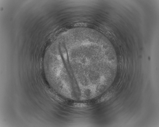 X0000064770649200603131435