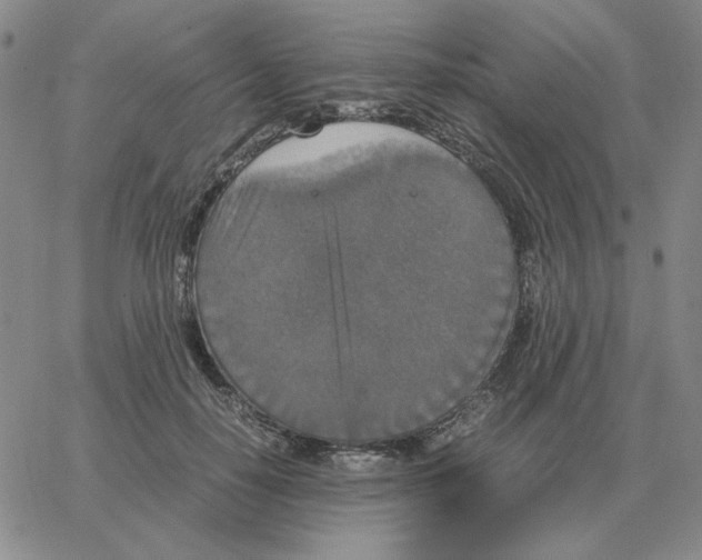 X0000064770650200603131435