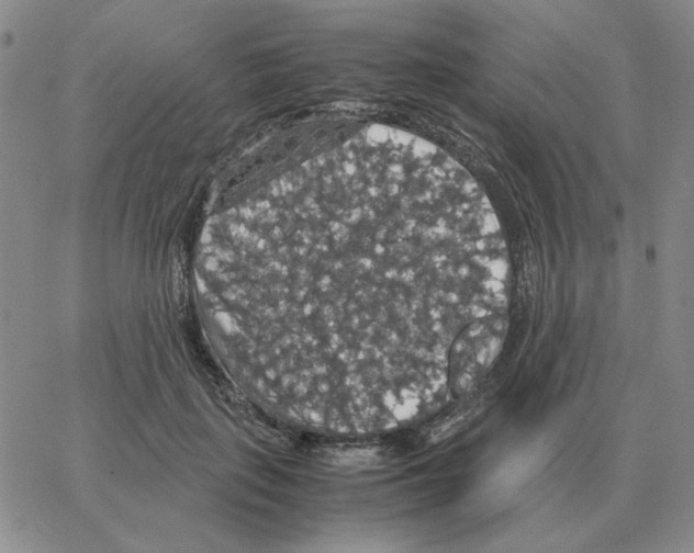 X0000064770651200603131435