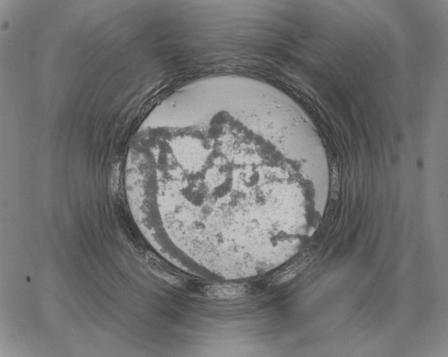 X0000064770652200603131435