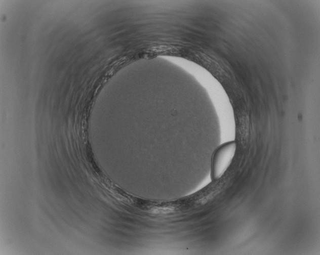 X0000064770653200603131435