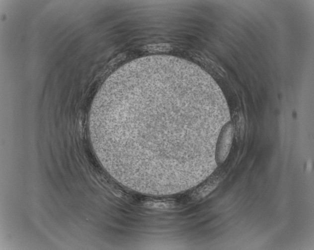 X0000064770655200603131435