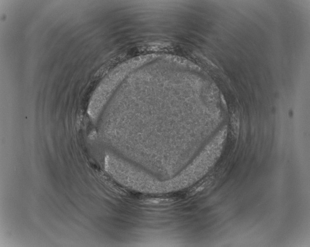 X0000064770657200603131435