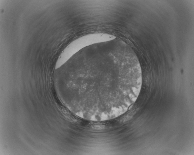 X0000064770658200603131435