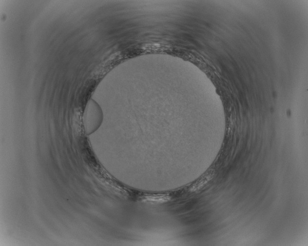 X0000064770659200603131435