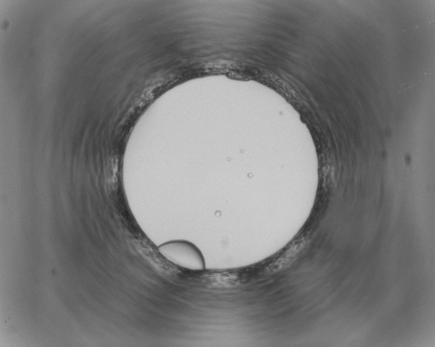 X0000064770660200603131435