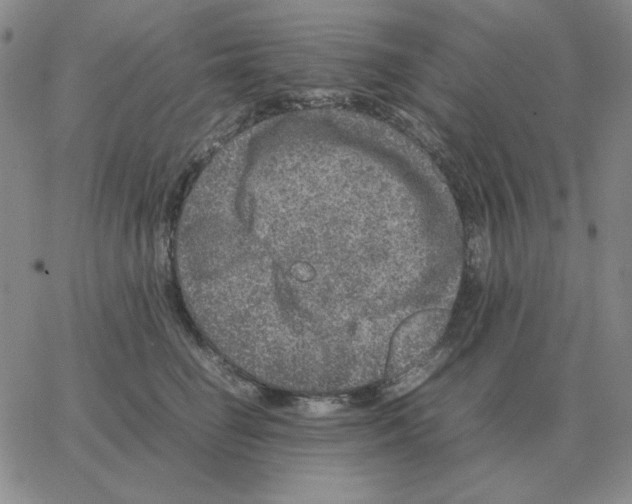 X0000064770662200603131435