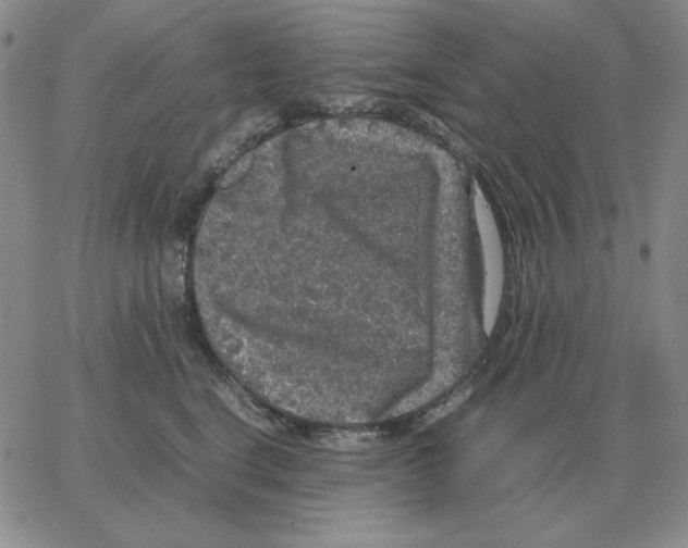 X0000064770664200603131435