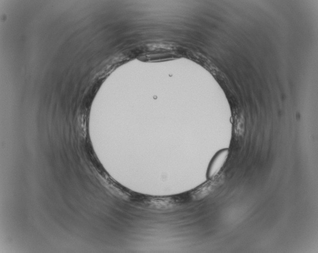 X0000064770666200603131435