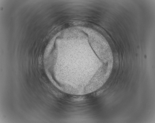 X0000064770667200603131435