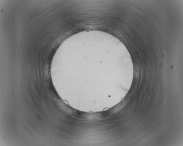 X0000064770670200603131435