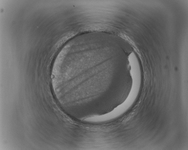 X0000064770673200603131434