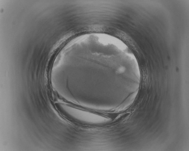 X0000064770674200603131434