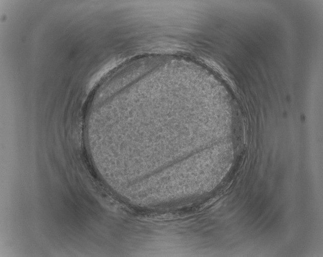 X0000064770675200603131434