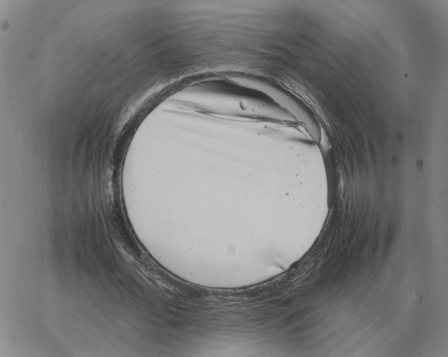 X0000064770676200603131434