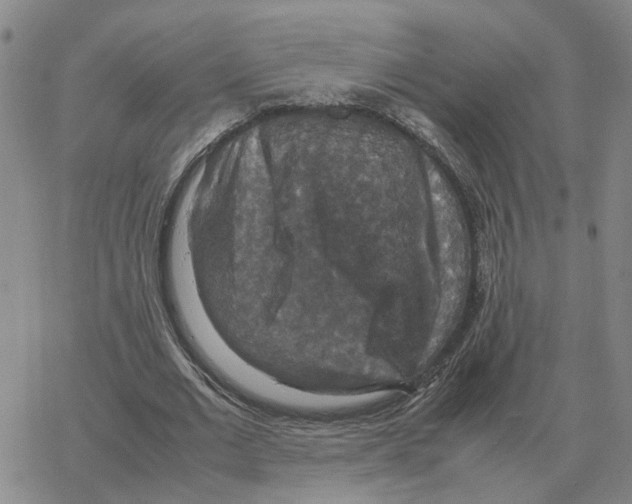 X0000064770677200603131434