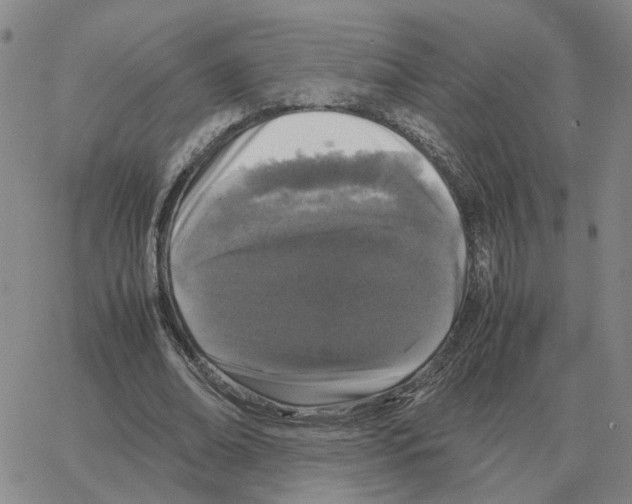 X0000064770678200603131434