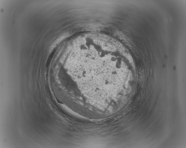 X0000064770679200603131434