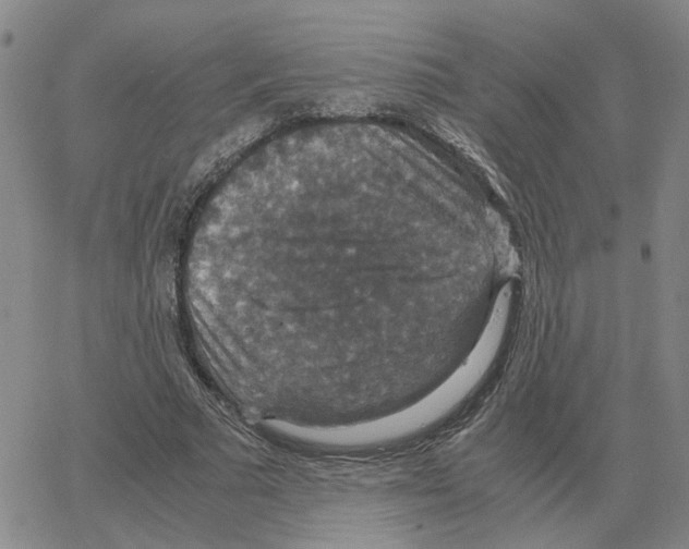 X0000064770681200603131434