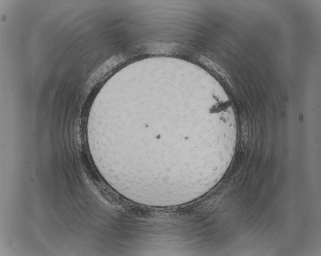 X0000064770682200603131434