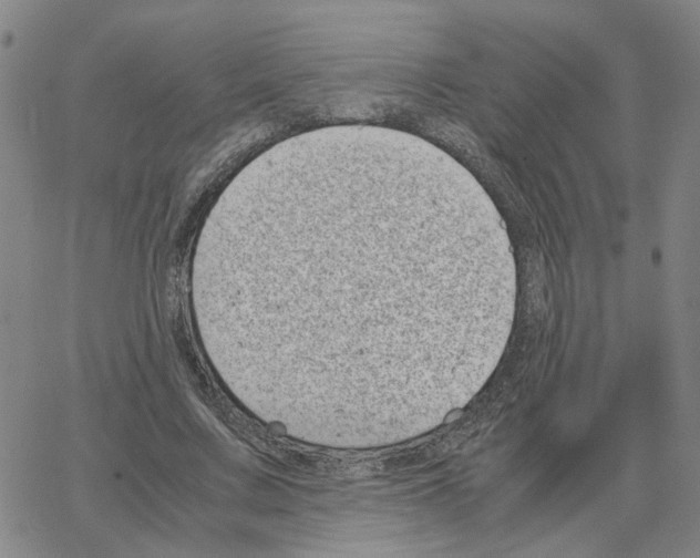 X0000064770683200603131434