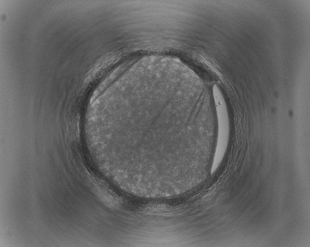 X0000064770685200603131434